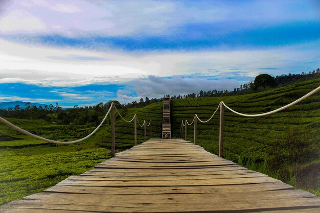 Nuansa riung gunung at pengalengan bandung