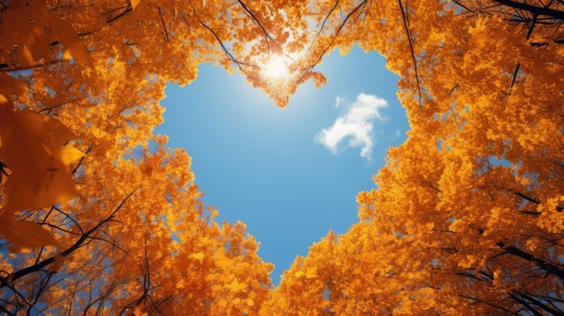 Nubes of Love in Autumn HeartShaped Sky through November Trees in Fall Light Conceptual Backdrop