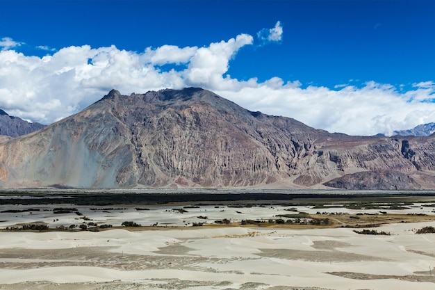 Nubra-vallei in ladakh india in de Himalaya