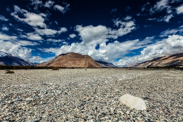 Nubra valley in himalayas ladakh india