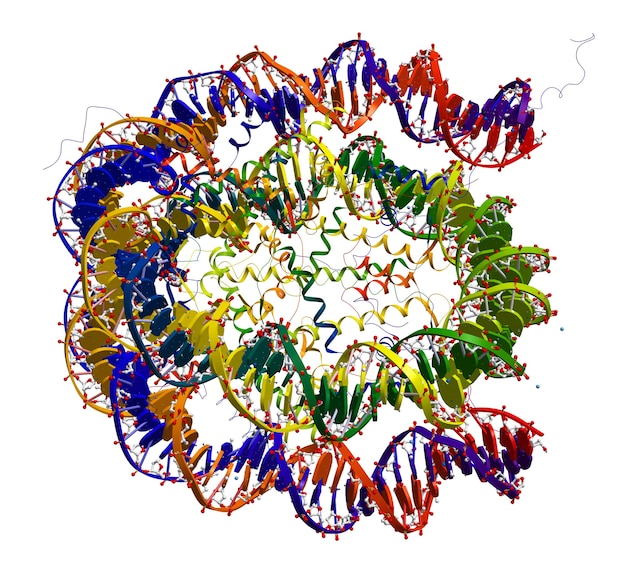 Foto struttura delle particelle del nucleo del nucleosoma