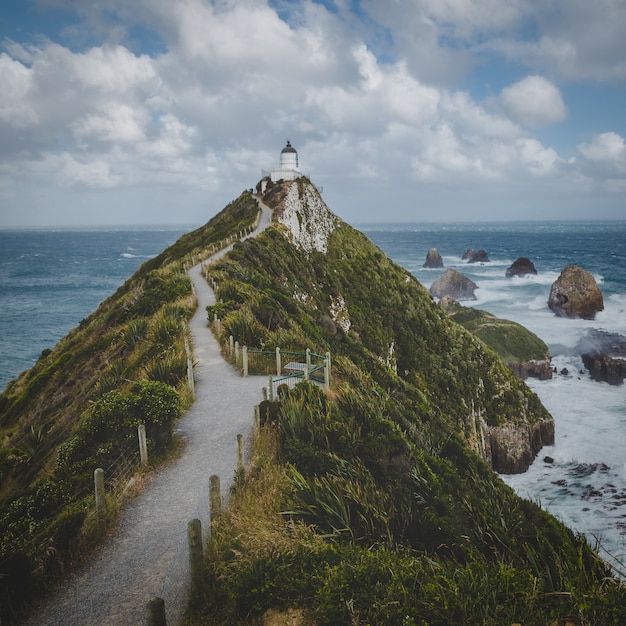 ナゲットポイント灯台トレイルとニュージーランドのオタゴの海の岩