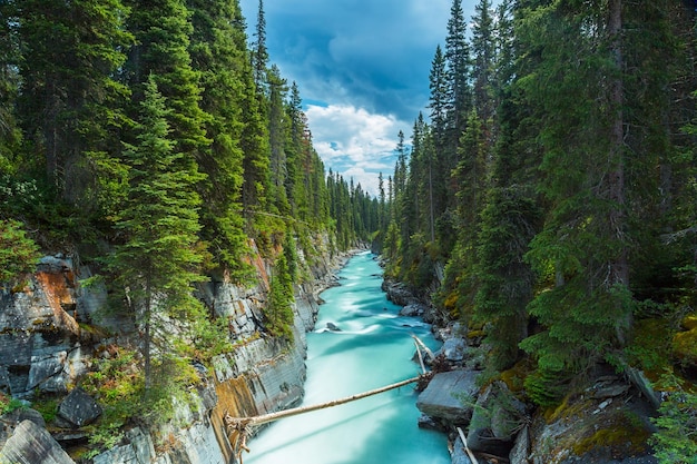 Photo numa falls at the vermillion river canyon in the kootenay national park canada