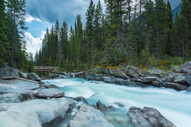 Numa Falls with bridge at the Kootenay National Park canada