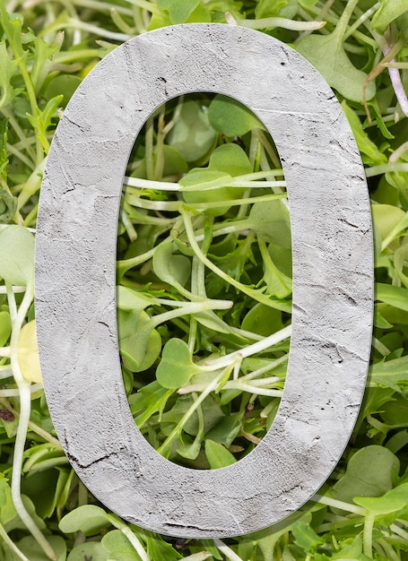 Number 0 with concrete texture on nature background