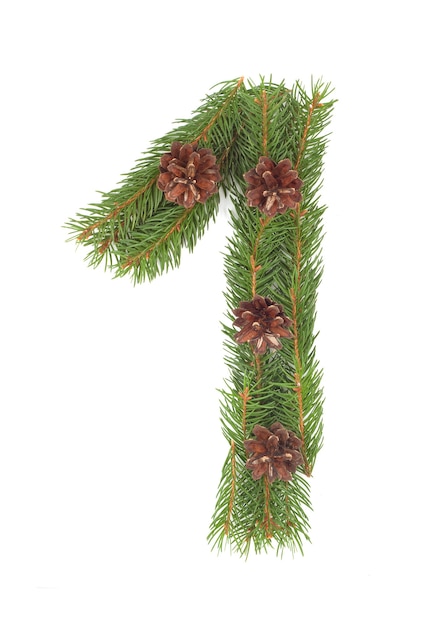 NUMBER 1 - made of Christmas fir tree on a white isolated