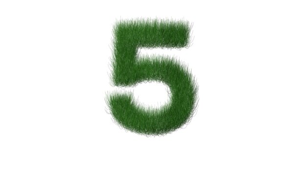 Number 5 is written on a white background