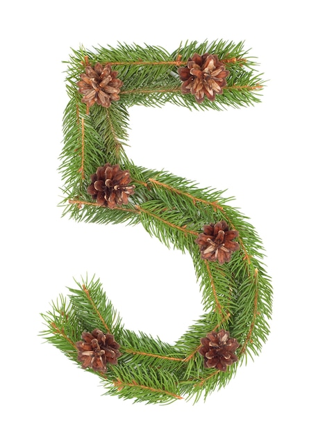 NUMBER 5 - made of Christmas fir tree on a white isolated