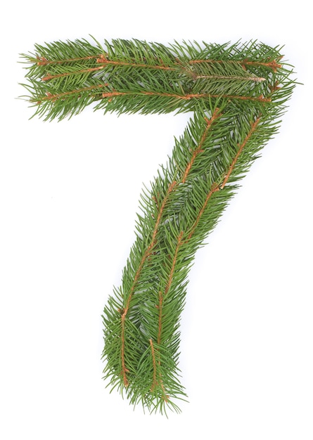 NUMBER 7 - made of Christmas fir tree on a white space