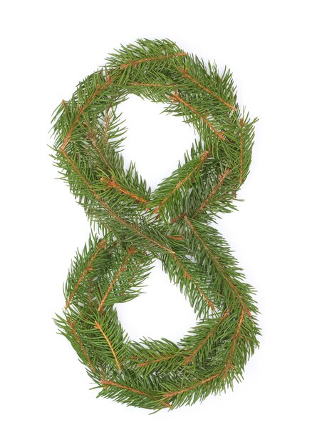 NUMBER 8 - made of Christmas fir tree on a white space