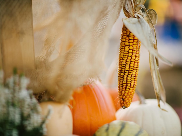 Photo number of orange pumpkins in the country fest