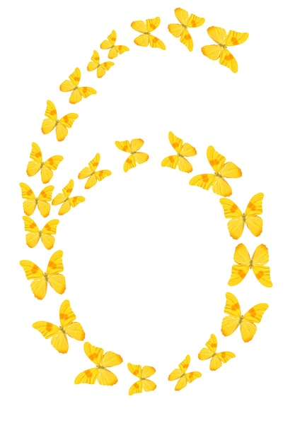 Number six made from yellow tropical butterflies isolated on white background
