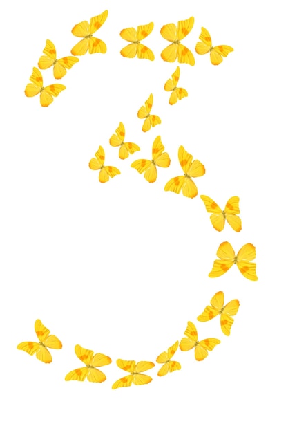 Номер три из желтых тропических бабочек на белом фоне.