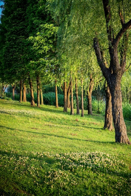 Цифры и отражения в городских парках