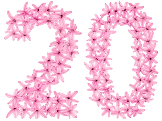 Numeral 20 twenty from natural flowers of hyacinth isolated on white background