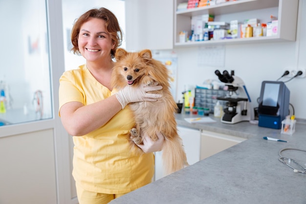 Nurse holding pet dog in recovery room of vet office