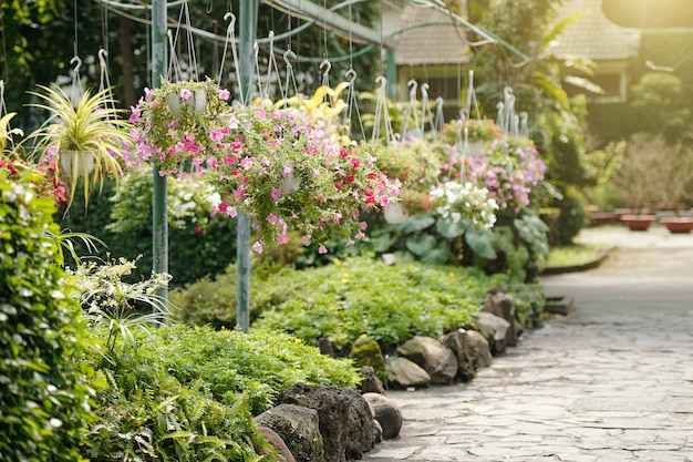 Photo nursery garden with many blooming flowers in hanging pots