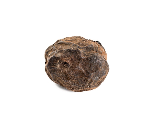 Nut in dry brown shell isolated on white background