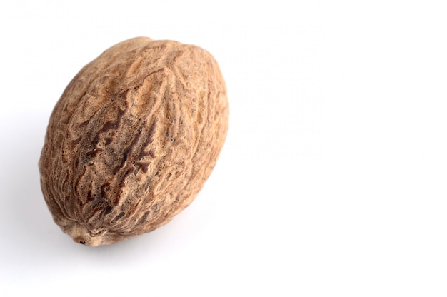 Nutmeg isolated. Close up.