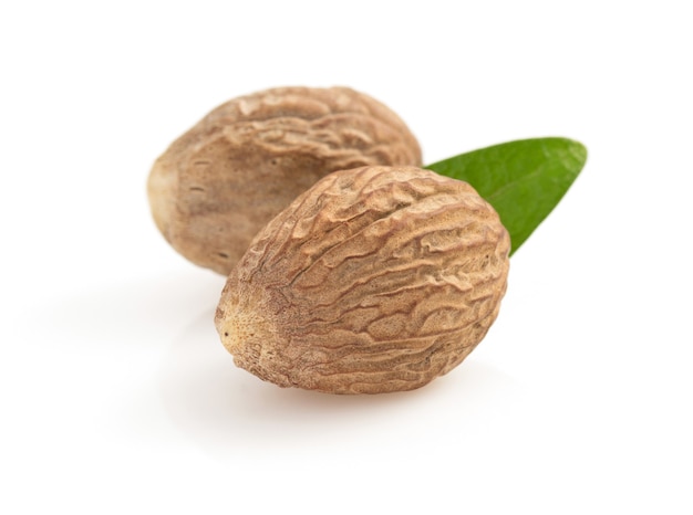 Nutmeg isolated on white background