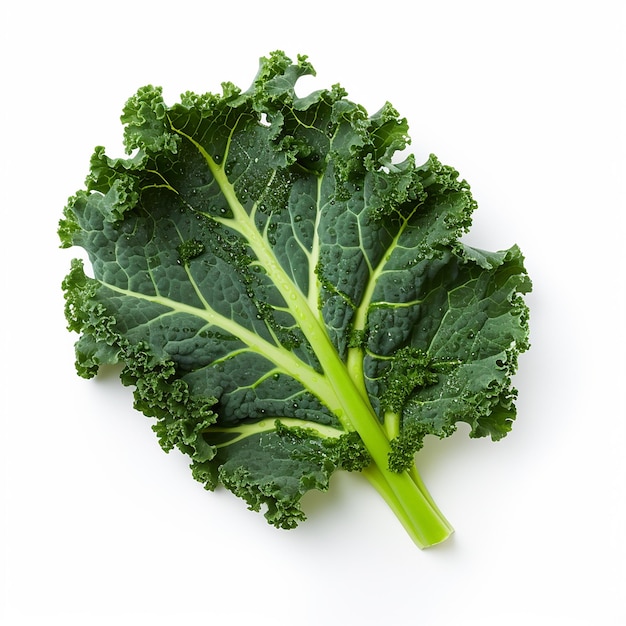 NutrientRich Kale on a White Canvas