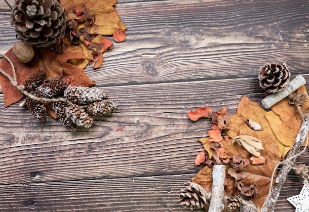 Nuts dry leaves wood, autumnal concept