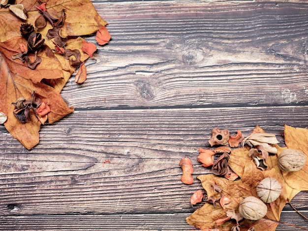 Nuts dry leaves wood, autumnal concept