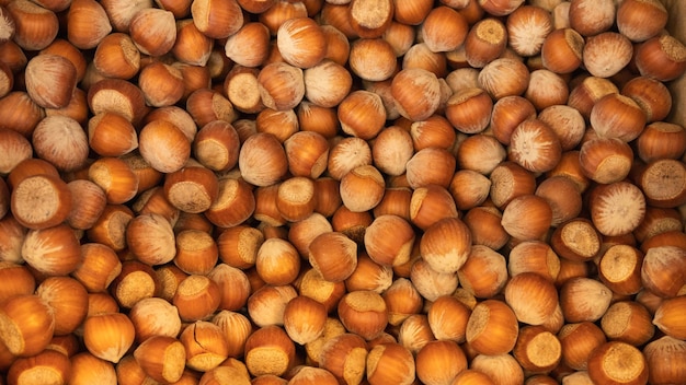 nuts hazelnuts closeup for background