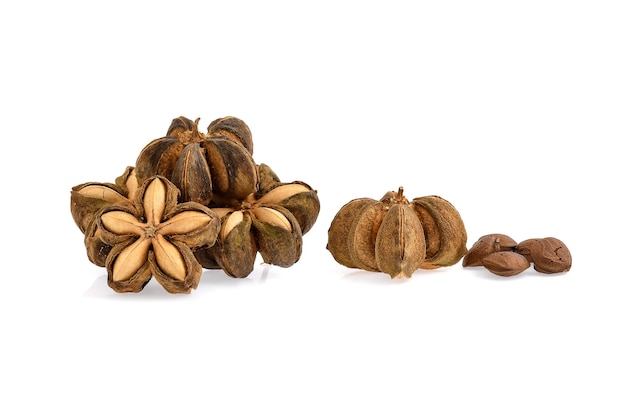 Nuts Incas , sacha inchi peanut seed