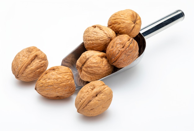 Nuts in metal shovel (Collection of various nuts). Isolated.