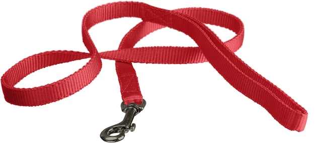 Nylon Dog Leash Isolated