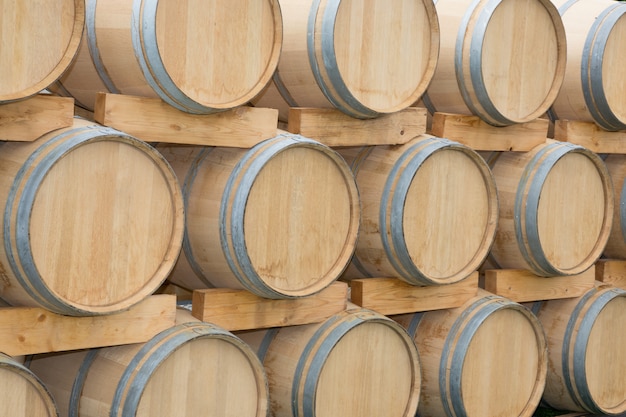 Oak barrels lined up in a cellar Bordeaux wine cellars