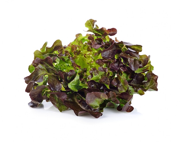 Oak Leaf lettuce isolated on white 