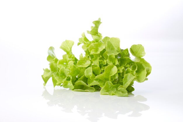 Oak leaf lettuce on a white