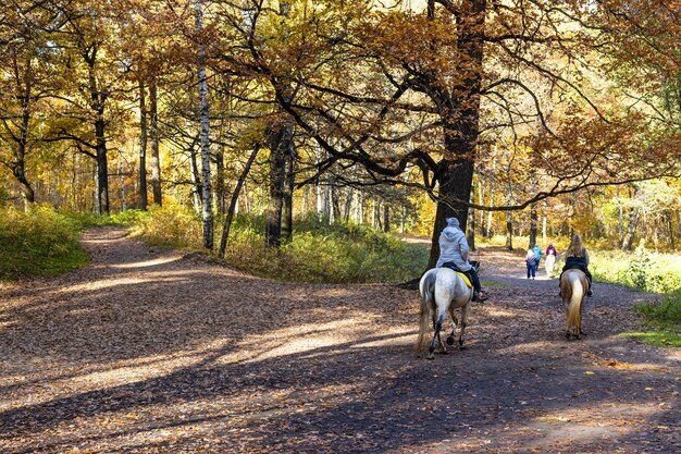 Oak tree branch over riders on path in city park