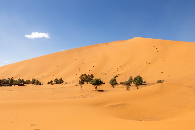 Oase in de Sahara woestijn, Erg Shebbi duinen