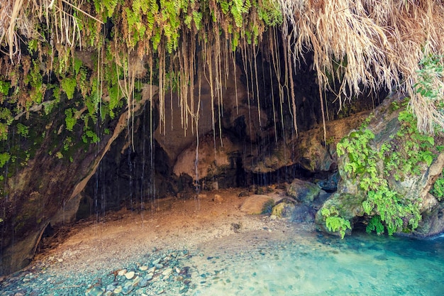 사막의 오아시스 Ein Gedi 자연 보호 구역 이스라엘