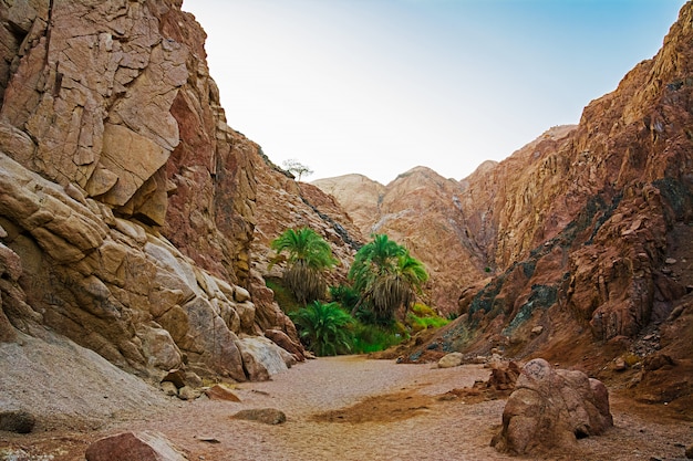 Oasis in the mountains