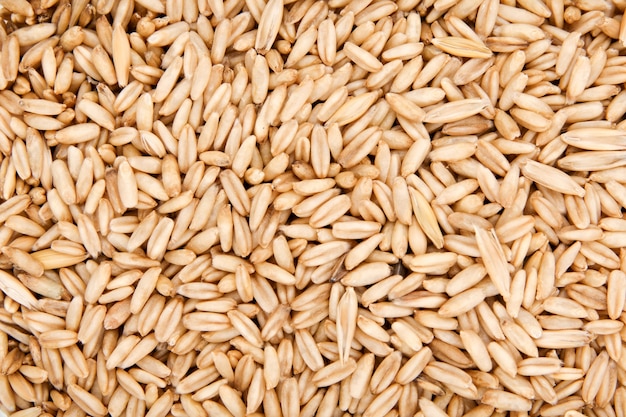 Oat and millet seeds full 