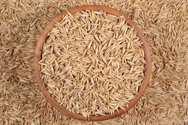 Oat seeds in a wooden bowl