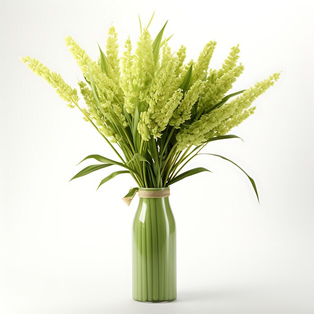 Oats light green color bouquet reed cereal grain with loose isolated on white background clean