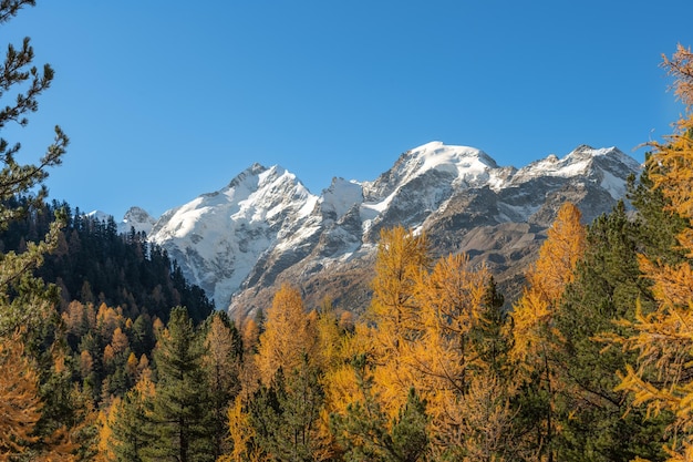 Осенние пейзажи швейцарских Альп с пиком Бернина