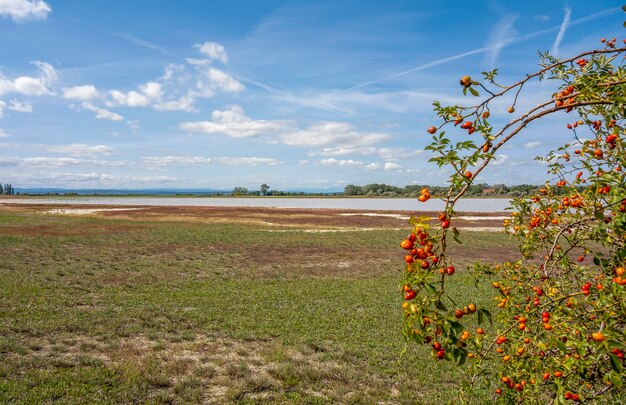 Oberer Stinkersee (Оберский смердящий озеро)