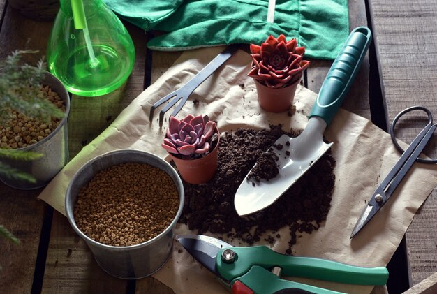 Objects of gardening and plants on table rustic