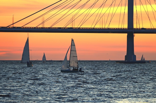 Observation deck on the square with a view of the cablestayed bridge and sunset