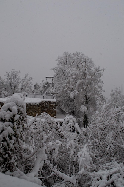 雪で覆われた街の頂上にある展望台
