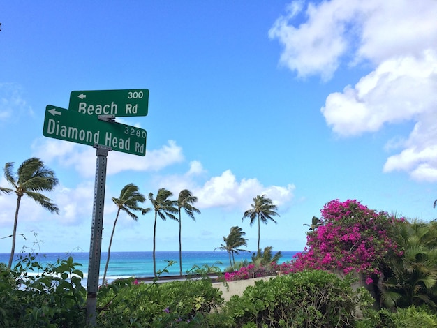 Foto oceaan en bougainvaillea in honolulu