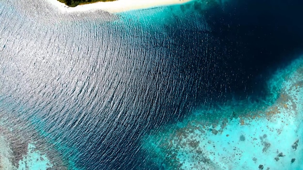 Oceaan kust palmbomen zand zomer golven