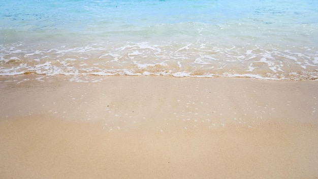 Oceaangolf op zandige strandachtergrond