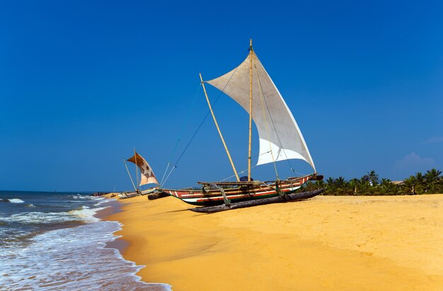 Oceaankust van Sri Lanka in de tropen